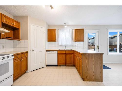 69 Saddlecreek Terrace Ne, Calgary, AB - Indoor Photo Showing Kitchen With Double Sink