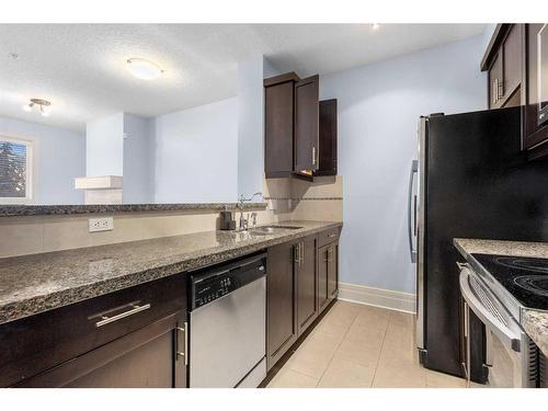 202-518 33 Street Nw, Calgary, AB - Indoor Photo Showing Kitchen