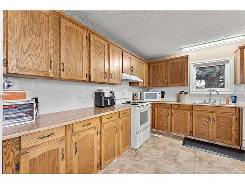 141 Spring Haven Mews Se, Airdrie, AB - Indoor Photo Showing Kitchen