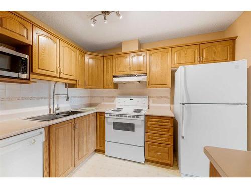 309-3309 Hawksbrow Point Nw, Calgary, AB - Indoor Photo Showing Kitchen With Double Sink