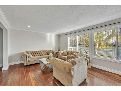 48 Deerview Place Se, Calgary, AB - Indoor Photo Showing Living Room