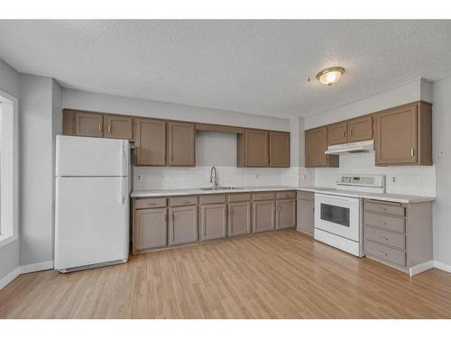 4239 58 Street Ne, Calgary, AB - Indoor Photo Showing Kitchen With Double Sink