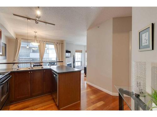 305-108 15 Avenue Se, Calgary, AB - Indoor Photo Showing Kitchen With Double Sink