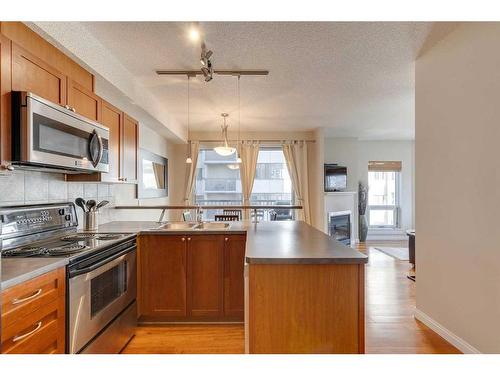 305-108 15 Avenue Se, Calgary, AB - Indoor Photo Showing Kitchen With Double Sink