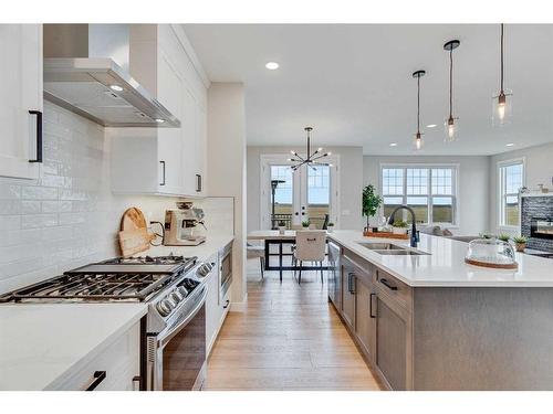 459 Kinniburgh Loop, Chestermere, AB - Indoor Photo Showing Kitchen With Double Sink With Upgraded Kitchen