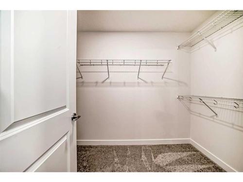 88 Sugarsnap Way Se, Calgary, AB - Indoor With Storage