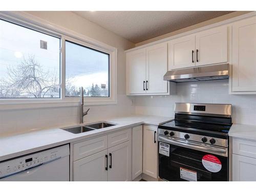 175 Bedwood Bay Ne, Calgary, AB - Indoor Photo Showing Kitchen With Double Sink