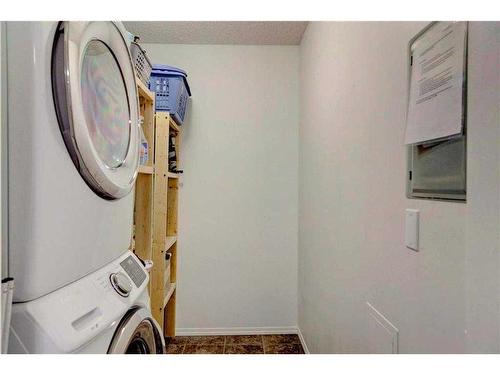 313-260 Shawville Way Se, Calgary, AB - Indoor Photo Showing Laundry Room