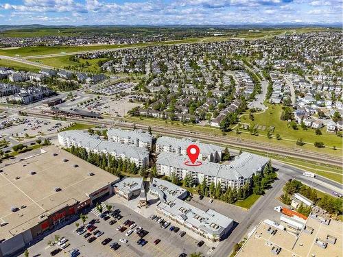 313-260 Shawville Way Se, Calgary, AB - Outdoor With View