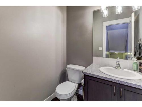 42 Skyview Springs Circle Ne, Calgary, AB - Indoor Photo Showing Bathroom