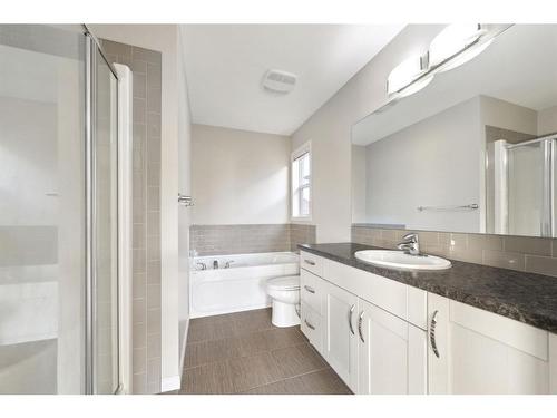 118 Marquis Common Se, Calgary, AB - Indoor Photo Showing Bathroom