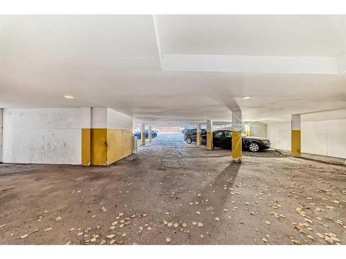 203-1730 7 Street Sw, Calgary, AB - Indoor Photo Showing Garage