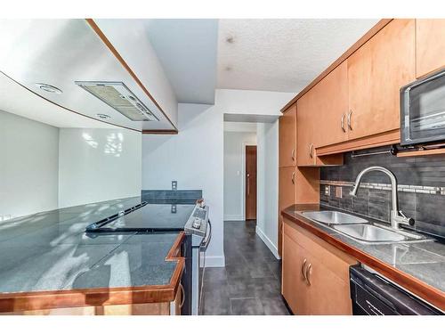 203-1730 7 Street Sw, Calgary, AB - Indoor Photo Showing Kitchen With Double Sink