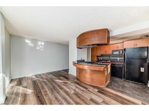 203-1730 7 Street Sw, Calgary, AB - Indoor Photo Showing Kitchen