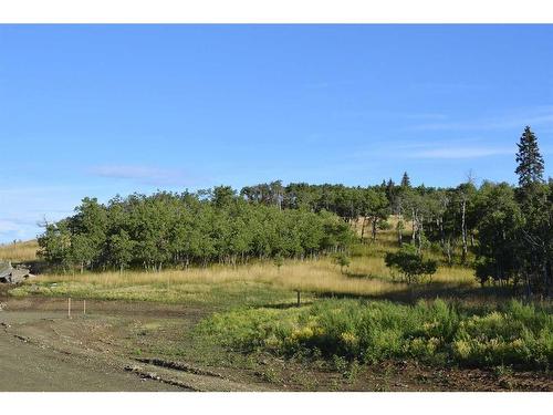 Lot 13 Whiskey Springs Hill West, Rural Foothills County, AB 