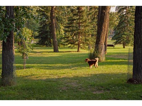 10-314 25 Avenue Sw, Calgary, AB - Outdoor With View