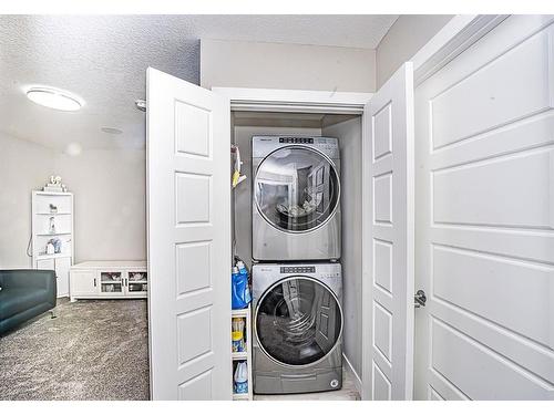 90 Corner Ridge Mews Ne, Calgary, AB - Indoor Photo Showing Laundry Room