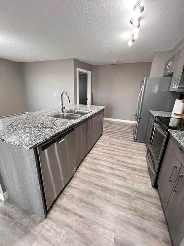 1416-4641 128 Avenue Ne, Calgary, AB - Indoor Photo Showing Kitchen With Double Sink