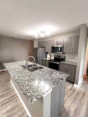 1416-4641 128 Avenue Ne, Calgary, AB - Indoor Photo Showing Kitchen With Stainless Steel Kitchen With Double Sink With Upgraded Kitchen