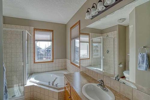 83 Sunset Circle, Cochrane, AB - Indoor Photo Showing Bathroom