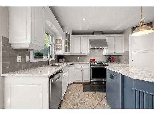 306 Douglas Park Boulevard Se, Calgary, AB - Indoor Photo Showing Kitchen With Upgraded Kitchen