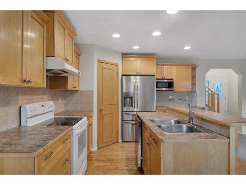 143 Brightondale Crescent Se, Calgary, AB - Indoor Photo Showing Kitchen With Double Sink