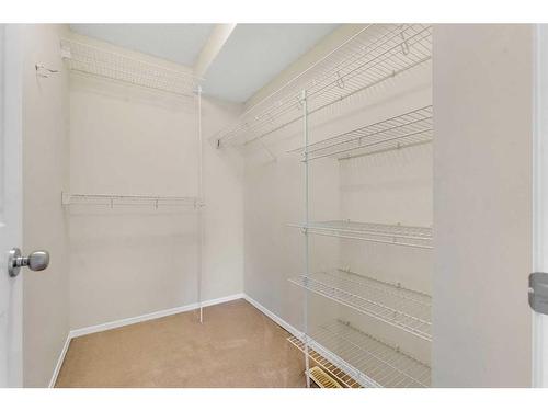 143 Brightondale Crescent Se, Calgary, AB - Indoor With Storage