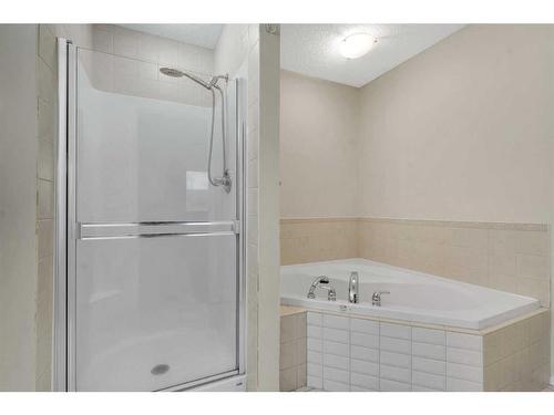 143 Brightondale Crescent Se, Calgary, AB - Indoor Photo Showing Bathroom