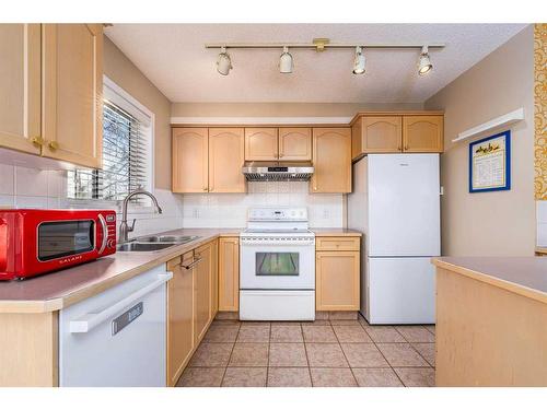 107-1401 Centre A Street Ne, Calgary, AB - Indoor Photo Showing Kitchen With Double Sink