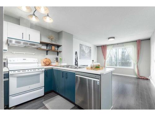 92 Martin Crossing Court Ne, Calgary, AB - Indoor Photo Showing Kitchen