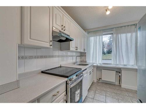 107-3316 Rideau Place Sw, Calgary, AB - Indoor Photo Showing Kitchen