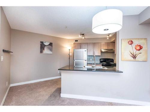 320-7180 80 Avenue Ne, Calgary, AB - Indoor Photo Showing Kitchen