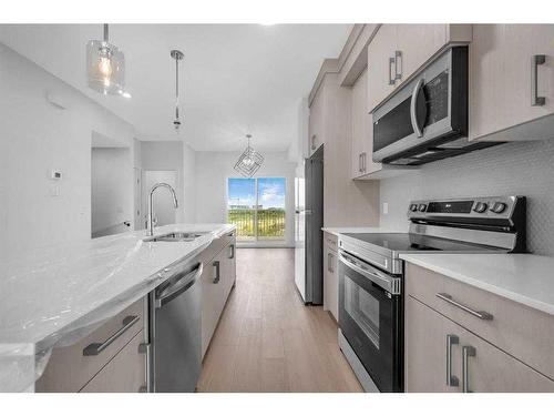 605-33 Merganser Drive, Chestermere, AB - Indoor Photo Showing Kitchen With Upgraded Kitchen