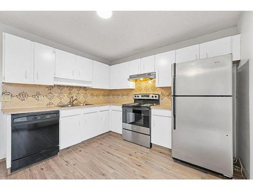 16-380 Bermuda Drive Nw, Calgary, AB - Indoor Photo Showing Kitchen With Double Sink