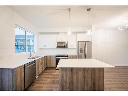 531-137 Red Embers Link Ne, Calgary, AB - Indoor Photo Showing Kitchen With Stainless Steel Kitchen With Double Sink With Upgraded Kitchen