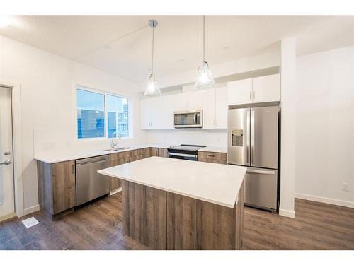 531-137 Red Embers Link Ne, Calgary, AB - Indoor Photo Showing Kitchen With Stainless Steel Kitchen With Upgraded Kitchen