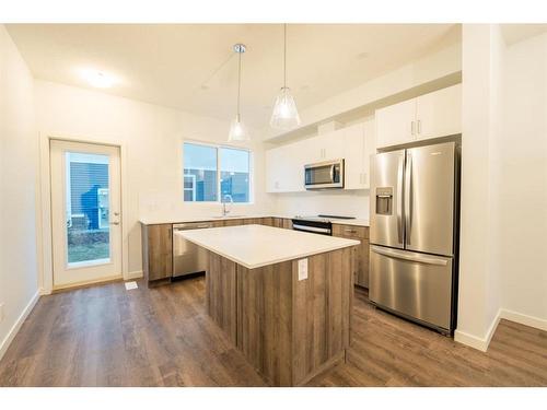 531-137 Red Embers Link Ne, Calgary, AB - Indoor Photo Showing Kitchen With Stainless Steel Kitchen With Upgraded Kitchen