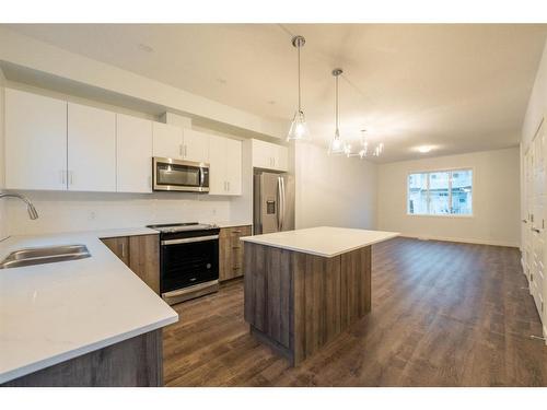 531-137 Red Embers Link Ne, Calgary, AB - Indoor Photo Showing Kitchen With Stainless Steel Kitchen With Double Sink