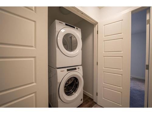 531-137 Red Embers Link Ne, Calgary, AB - Indoor Photo Showing Laundry Room