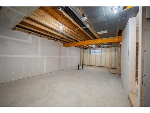 531-137 Red Embers Link Ne, Calgary, AB - Indoor Photo Showing Basement