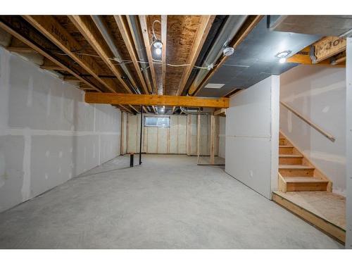 531-137 Red Embers Link Ne, Calgary, AB - Indoor Photo Showing Basement