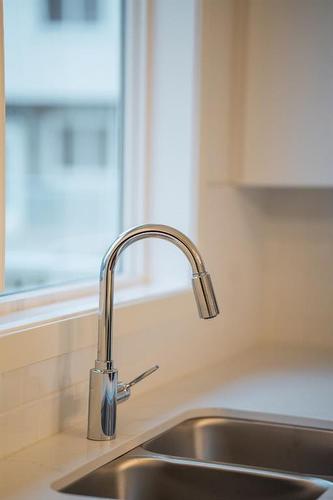 531-137 Red Embers Link Ne, Calgary, AB - Indoor Photo Showing Kitchen With Double Sink