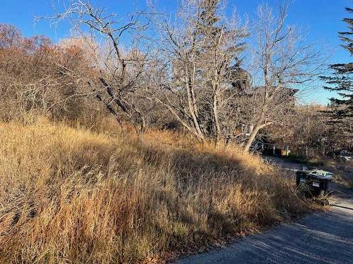 1131 Maggie Street Se, Calgary, AB - Outdoor With View