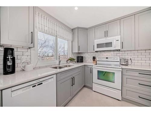 183 Lake Adams Crescent Se, Calgary, AB - Indoor Photo Showing Kitchen With Double Sink