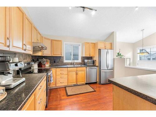 40 River Rock Circle Se, Calgary, AB - Indoor Photo Showing Kitchen With Double Sink