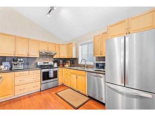 40 River Rock Circle Se, Calgary, AB - Indoor Photo Showing Kitchen With Double Sink