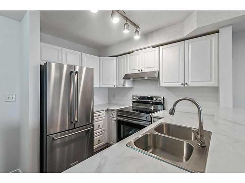 116-92 Saddletree Court Ne, Calgary, AB - Indoor Photo Showing Kitchen With Double Sink