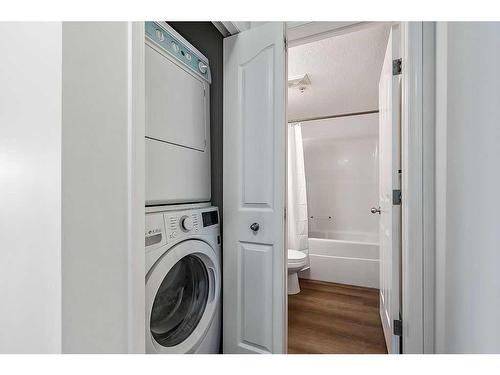 116-92 Saddletree Court Ne, Calgary, AB - Indoor Photo Showing Laundry Room