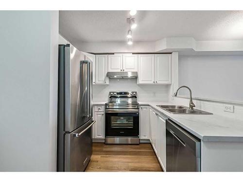 116-92 Saddletree Court Ne, Calgary, AB - Indoor Photo Showing Kitchen With Double Sink