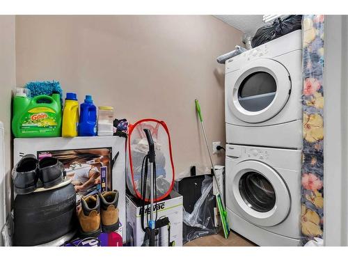 226-355 Taralake Way Ne, Calgary, AB - Indoor Photo Showing Laundry Room